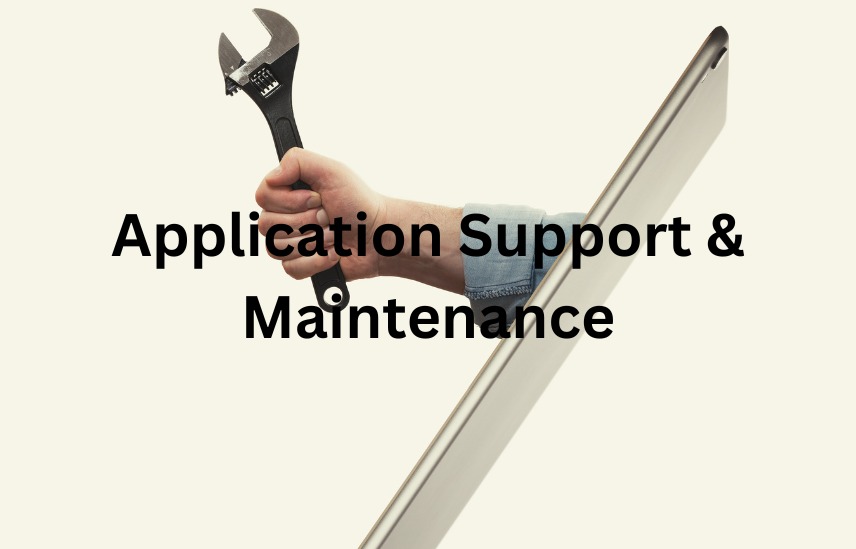 Application Support and Maintenance (ASM)